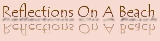 Reflections On A Beach