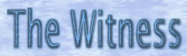 The Witness